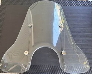 Ζελατίνα/Παμπριζ vespa Gts300/250