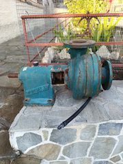 Ποτιστικά 2003