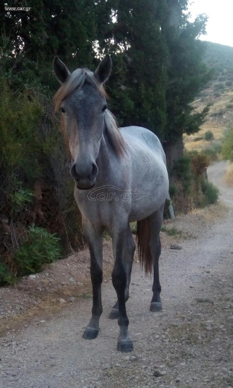 ΦΟΡΑΔΑ 14 ΜΗΝΩΝ