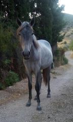 ΦΟΡΑΔΑ 14 ΜΗΝΩΝ