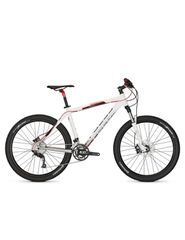 All - Mountain Focus 2020 Black Forest 4.0