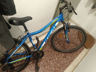 Downhill - Enduro - Trail Ideal 2022 Trial
