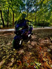 Gilera Nexus 500 SP 2006
