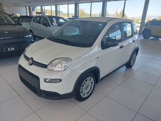 Fiat New Panda 2026 PANDINA ICON
