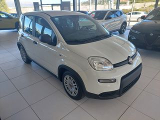 Fiat New Panda 2026 PANDINA ICON-thumb-2