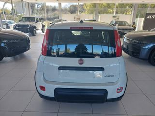 Fiat New Panda 2026 PANDINA ICON-thumb-4
