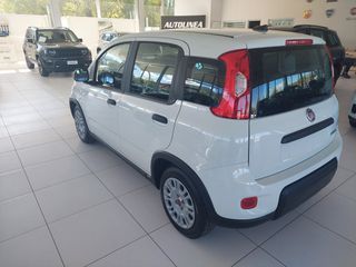 Fiat New Panda 2026 PANDINA ICON-thumb-5