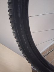 All - Mountain Kellys 2021 Spider-thumb-4
