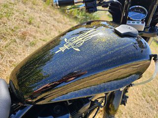Yamaha XV Virago 1994 VIRAGO 250-thumb-4