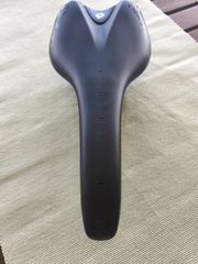 Prologo Nago Evo