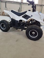 Kxd 2017 ATV 001 6"