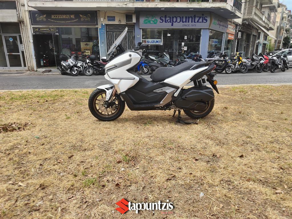 Phelon & Moore Panthette X 2026 300, Ετοιμοπαράδοτο!!!