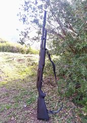 BENELLI M2 COMFORT