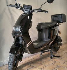 Daytona Elektra-L-50 2024