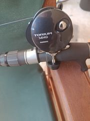 Pregio live bait Shimano torium 14hg