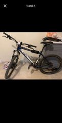 All - Mountain Saracen 2015