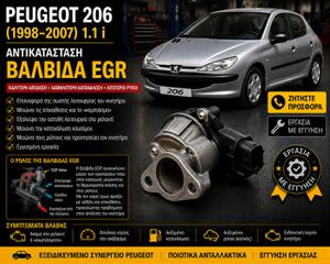 Peugeot 206 (1998–2007) 1.1 i - Αντικατάσταση Βαλβίδας EGR