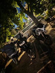 Triumph Tiger 1050 2010-thumb-6