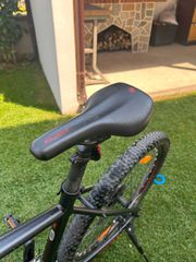 All - Mountain Scott 2021 aspect 740-thumb-17