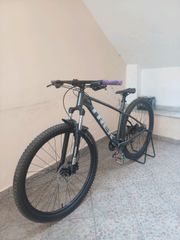All - Mountain Trek 2024 Marlin 5