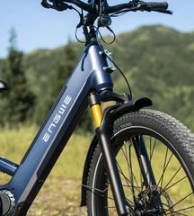 Fat Bikes Engwe 2026 E26 3.0 Pro (25 km/h, 15 Ah, 250 Watt)-thumb-14