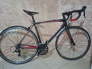 Δρόμου - Κούρσας Specialized 2014 Allez sport