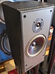 Roister DS-80 ηχεία