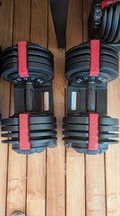 Adjustable dumbbells 24kg