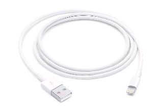 ​Apple - Lightning to USB Cable 1 meter / Electronics