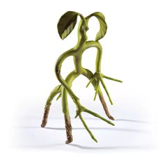 Bendable Bowtruckle - Fantastic Beasts / Fan Shop and Merchandise