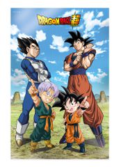 DRAGON BALL SUPER - Family - Poster 3D - 58x38cm