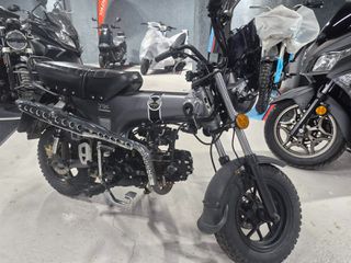 Skyteam Skymax 2023 DAX 125-thumb-7