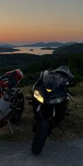 Honda CBR 1000RR 2006 CBR 1000RR FIREBLADE-thumb-10