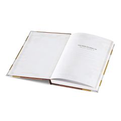 MINECRAFT - Diary - Enchanted Book-thumb-2