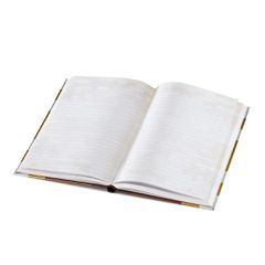 MINECRAFT - Diary - Enchanted Book-thumb-3