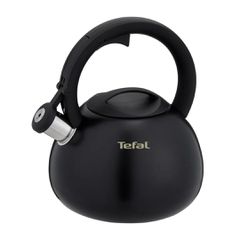 Non-Electric Kettle TEFAL N4180410, Black, Matte