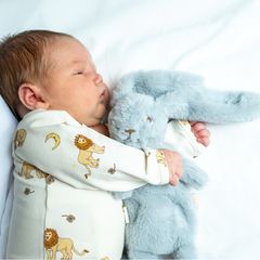 That's Mine - Heavy Teddy Mini (22419402130)-thumb-1