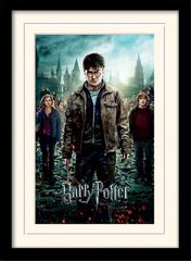 HARRY POTTER - Mounted & Framed 30X40 Print - Deathly Hallows Part 2