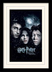 HARRY POTTER - Mounted & Framed 30X40 Print - Prisoner of Azkaban
