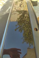 Saab 127-thumb-2