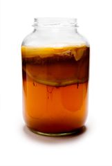 Κομπουχα (Kombucha)