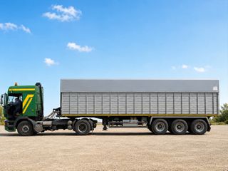 Αδειες + Οχημα DAF 2002 95 ATI - Ανατροπη- Καροτσα πλεγμα + Άδεια ΔΧ