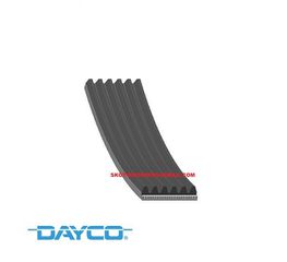 Ιμάντας καναλωτός (ΚΑΙΝΟΥΡΓΙΟΣ) ,VOLKSWAGEN,VW,SEAT,SKODA,AUDI,CITROEN,DAEWOO,OPEL,PEUGEOT,UNIVERSAL ,6PK1725 ,DAYCO