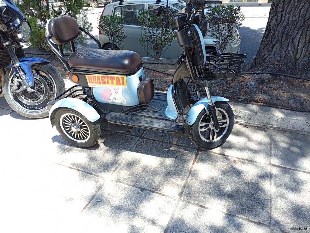 Daytona RABBIT 50 2024