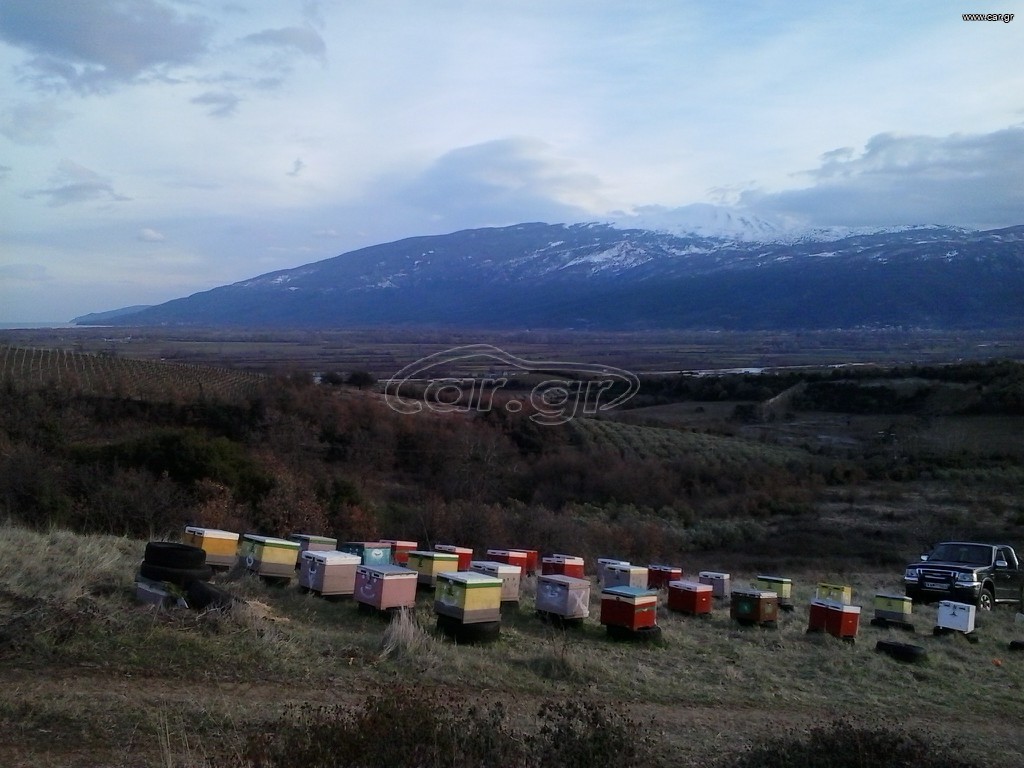 60 μελίσσια 5000