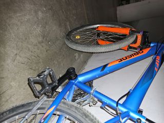 All - Mountain Orient 2022 Orient Rift MTB 24" με 21 ταχύτητες-thumb-8