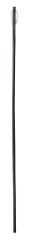 Cane