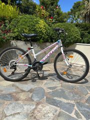 All - Mountain Sector 2020