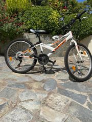 All - Mountain Sector 2022