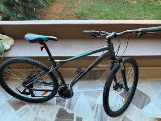 All - Mountain GT 2023